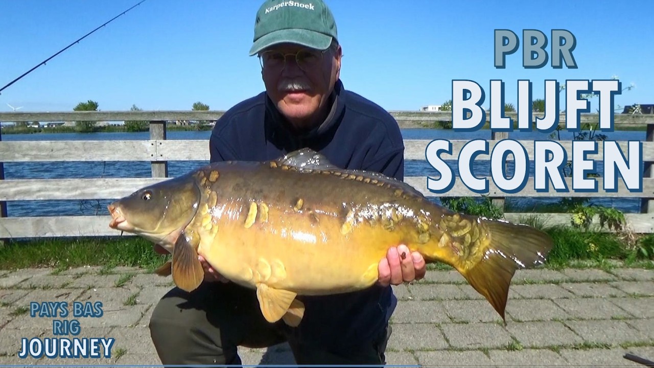 Pays Bas Rig for CARP by pensionado | 2025 the journey 6/10