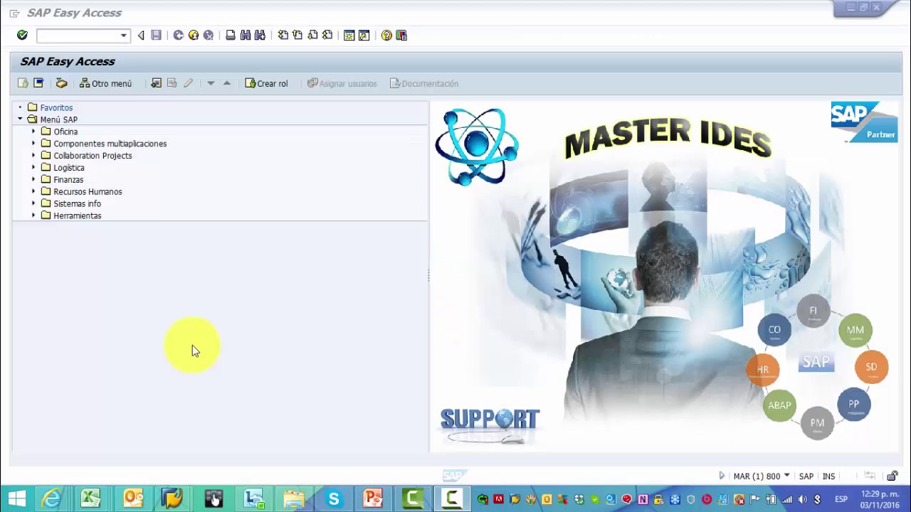 SAP TRAINING CICLOS DE DISTRIBUCIÓN Y SUBREPARTO