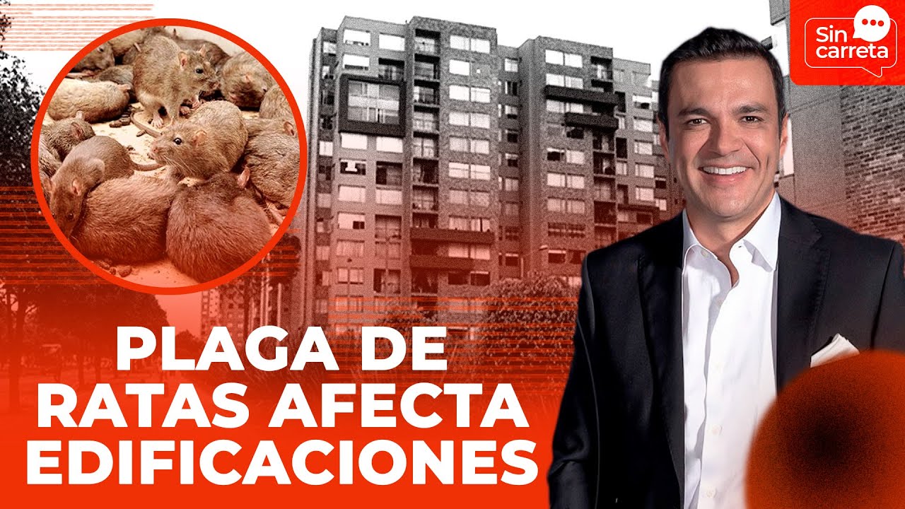¡INSÓLITO! Edificio en Bogotá sin electricidad por culpa de unos roedores