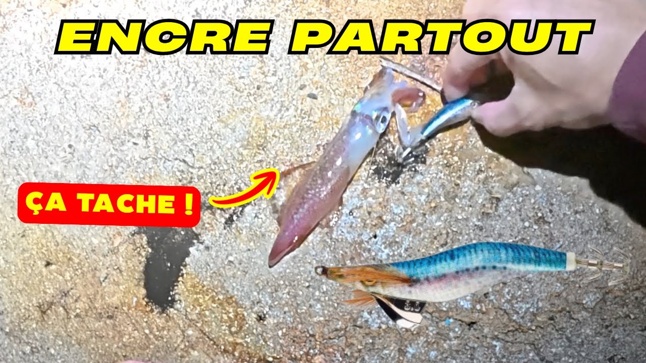 🎣PÊCHE au CALAMAR 🐙 TURLUTTE Ebika 🎣 Pêche du Bord en Méditerranée !