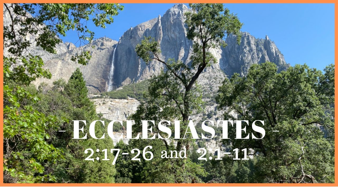 Wisdom From ECCLESIASTES | Toil Is Meaningless! | Pleasures Are Meaningless! | {The Regzone}