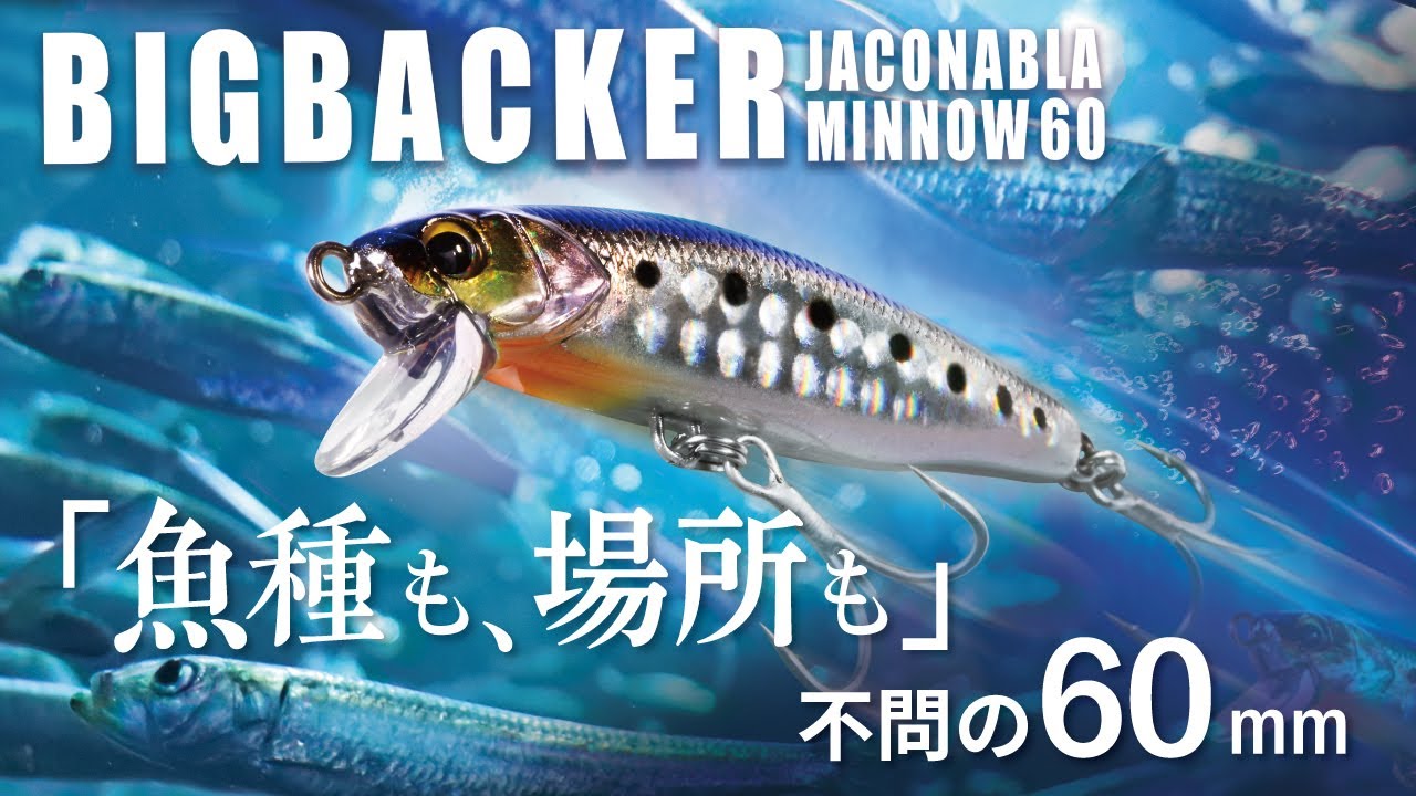 【ビッグバッカー】「魚種も、場所も」不問の60mm。&ldquo;ビッグバッカージャコナブラミノー60&ldquo; PV / 杉山代悟 村上祥悟