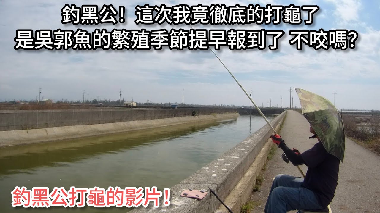 釣黑公！這次我徹底的打龜了（402集）@Pin338548 阿平趴趴走