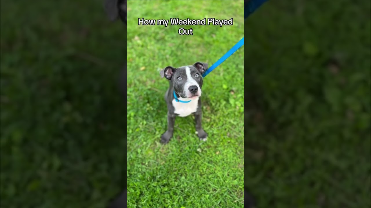 Happy Humpday, I&rsquo;m excited for the weekend already! #fyp #subscribe #youtubeshorts #gym