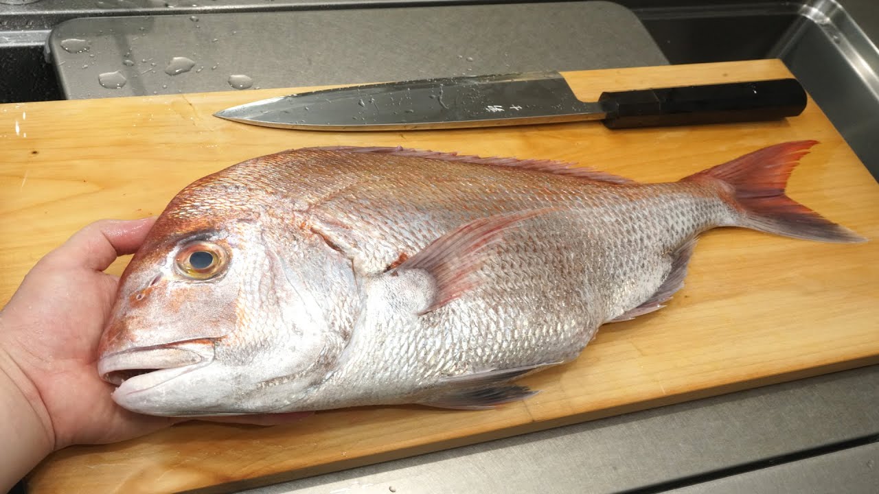 マダイの三枚おろしのさばき方と刺身の作り方（天然鯛と養殖鯛の簡単な見分け方）