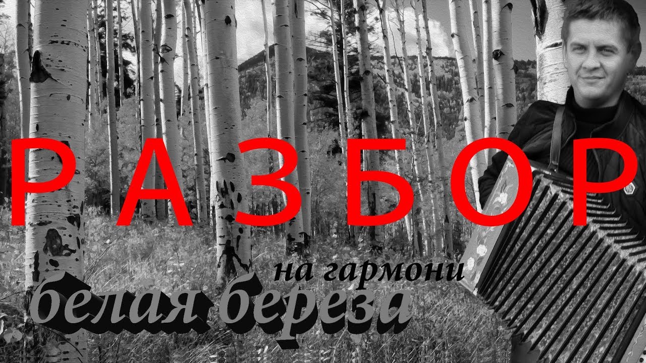 ПЕСНИ ПОД ГАРМОНЬ | РАЗБОР БЕЛАЯ БЕРЕЗА | кавер на гармони