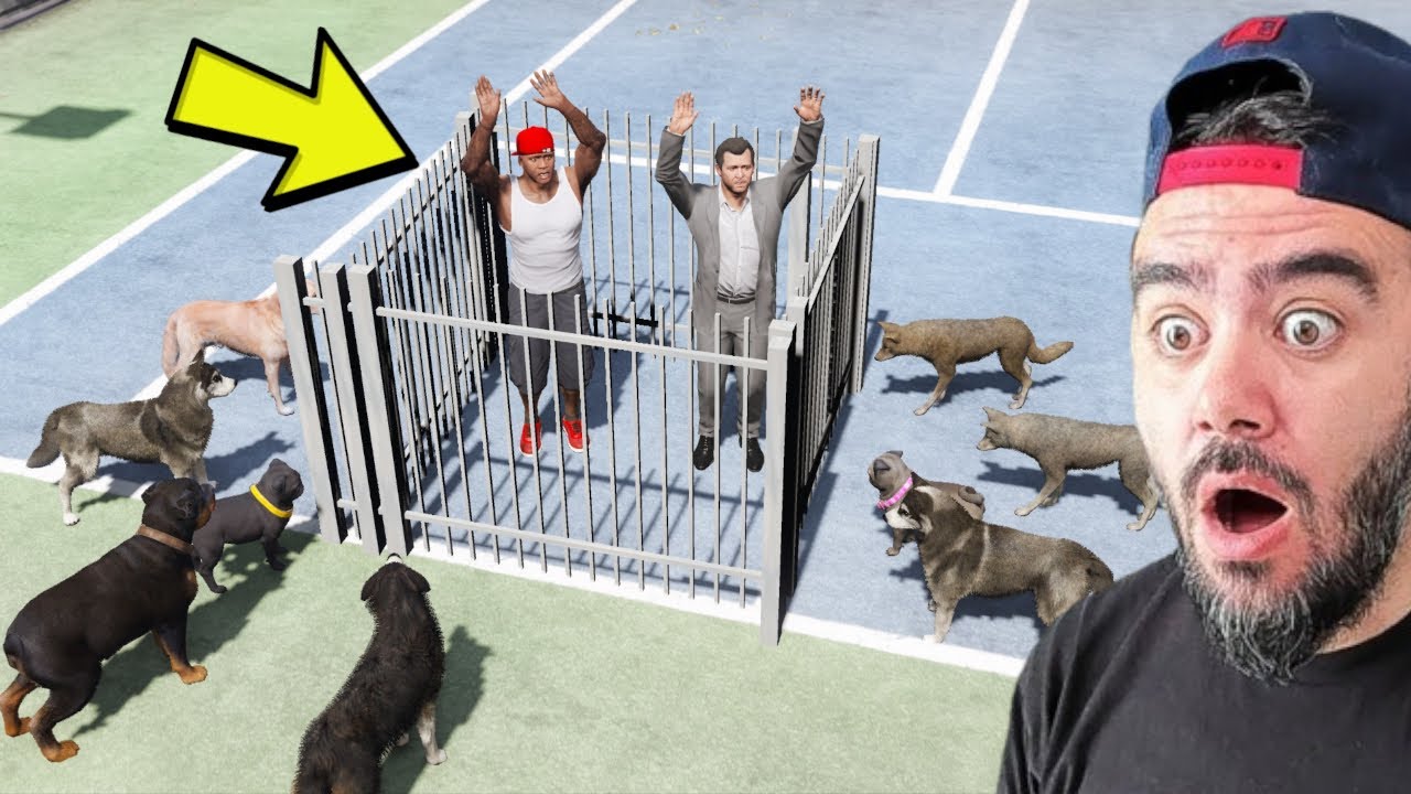 SINIRLI KÖPEKLER FRANKLINI KAFESE SOKTU YAKALADI - GTA 5 MODS
