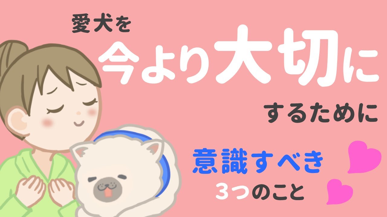 愛犬をもっと大切にしたい!!今日から意識する3つのこと