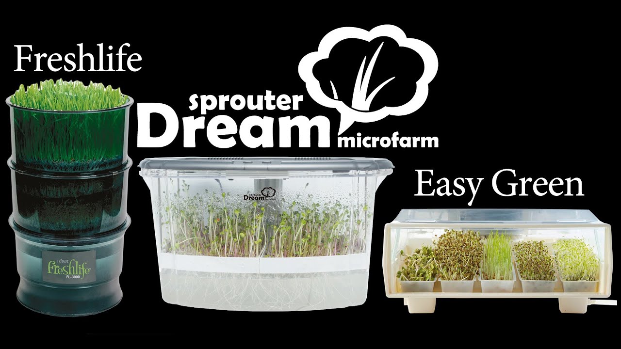 Проращиватели - Сравнение спраутеров FreshLife 3000 | RawMID Dream Sprouter | Easygreen