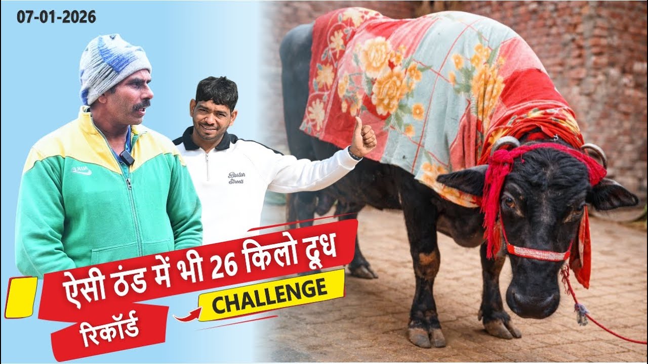 ऐसी ठंड में भी 26 किलो दूध का CHALLENGE || राज सिंह नम्बरदार