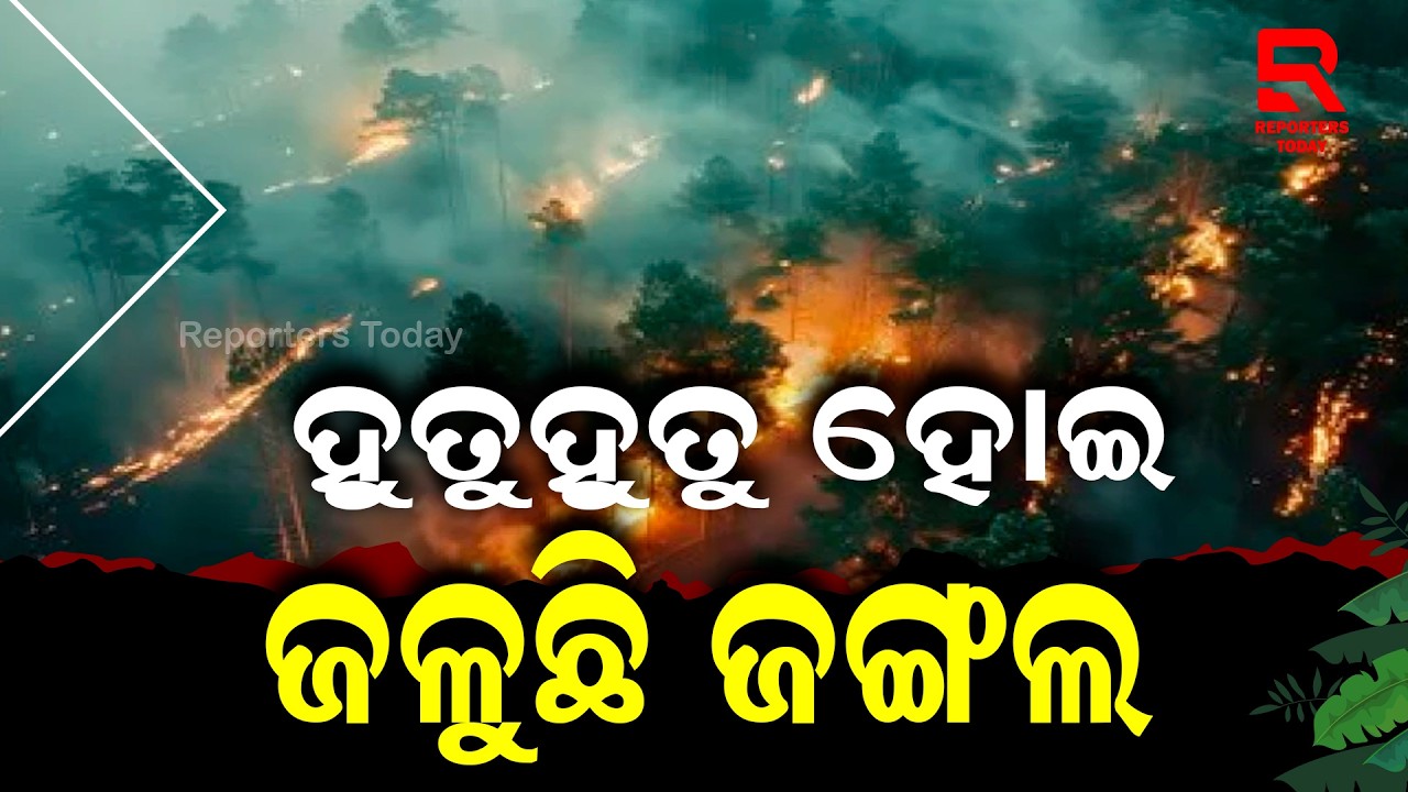 କାଲିଠୁ ଜଳୁଛି ବାଘମୁଣ୍ଡା ସଂରକ୍ଷିତ ଜଙ୍ଗଲ || Baghmunda Forest- Kaptipada || Mayurbhanj ||