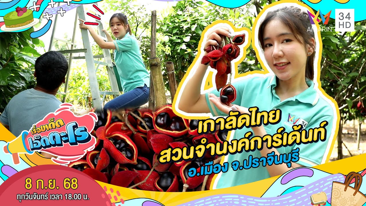 เกาลัดไทย สวนจำนงค์การ์เด้นท์ อ.เมือง จ.ปราจีนบุรี | เรื่องเด็ดเอ็ดตะโร | 8 ก.ย. 68 (3/4)