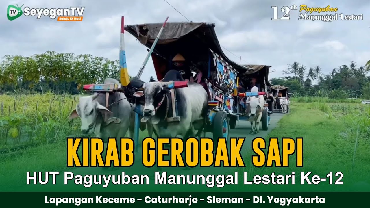 Kirab Gerobak Sapi HUT Paguyuban Manunggal Lestari Ke-12 Tahun 2025 | Lapangan Keceme Caturharjo