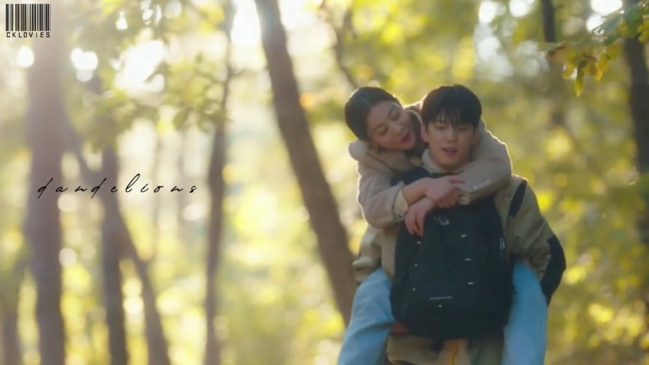 Jin Young Seo  & Cha Sung Hoon  » Dandelions | Business Proposal FMV