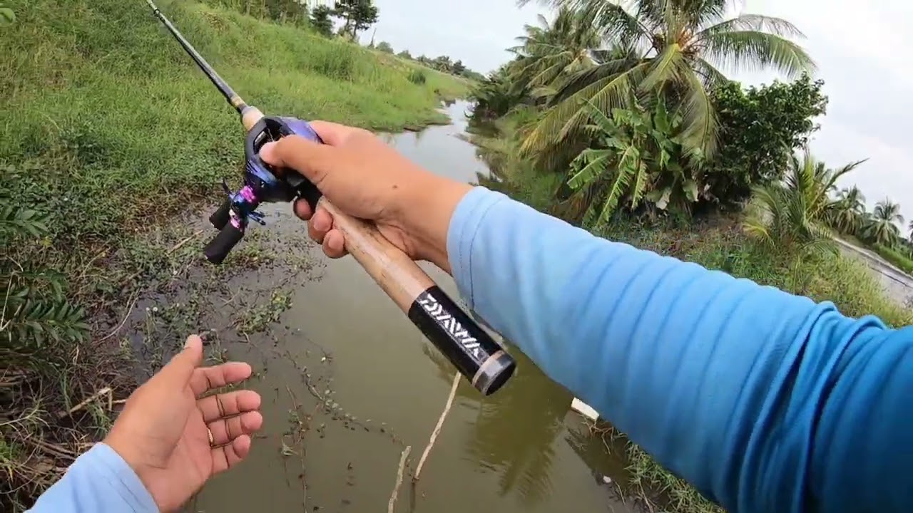 Combo lure ngang 774K | Test cần ngoài kênh tự nhiên lên cá quá đã