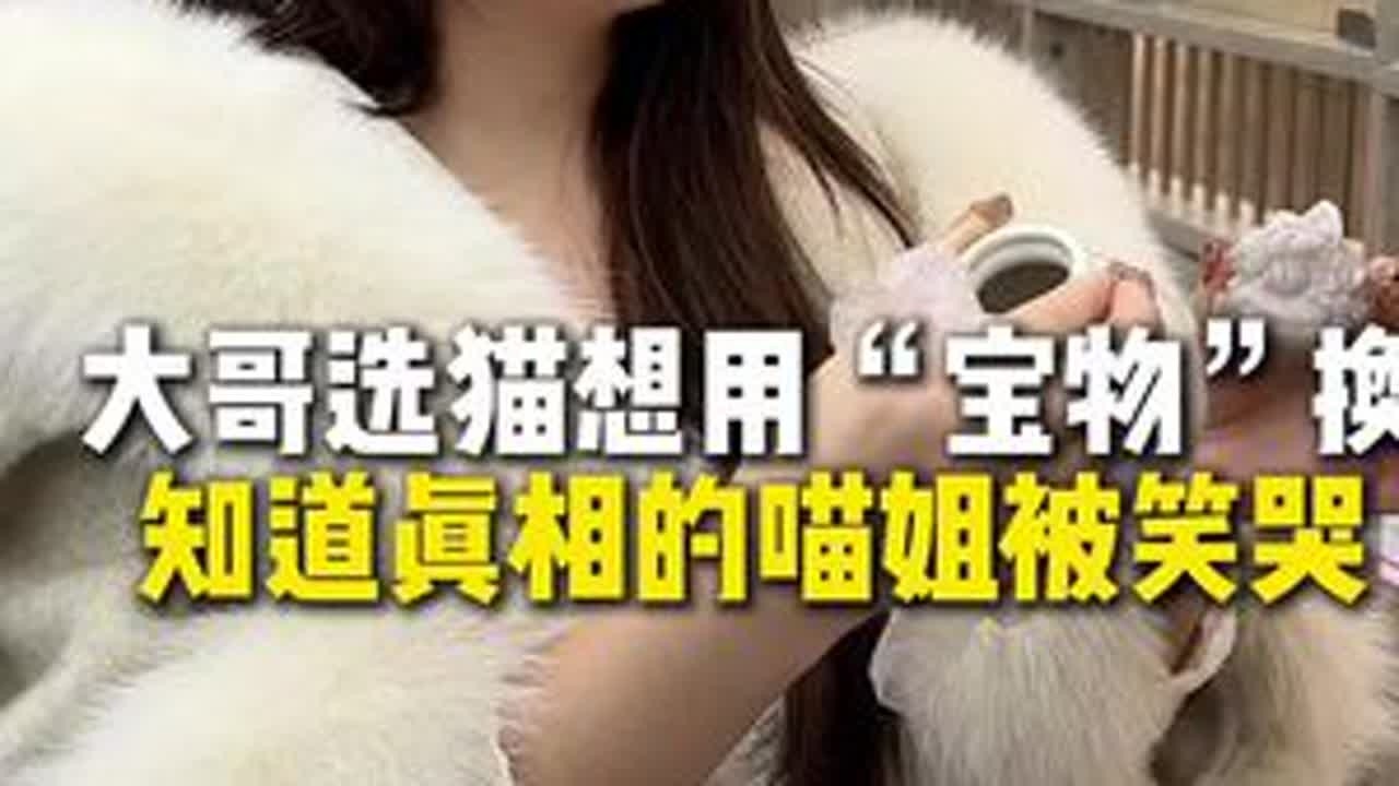 这个宝物有点搞笑哈哈哈！#猫咪 #搞笑 #幽默 #喵姐养猫