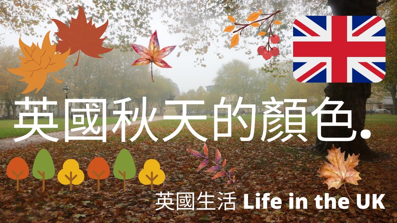 📸📹🎞紀錄英國10月份秋天🍁的顏色 I  英國生活 Life in the uk 💁 Ｉ海鷗