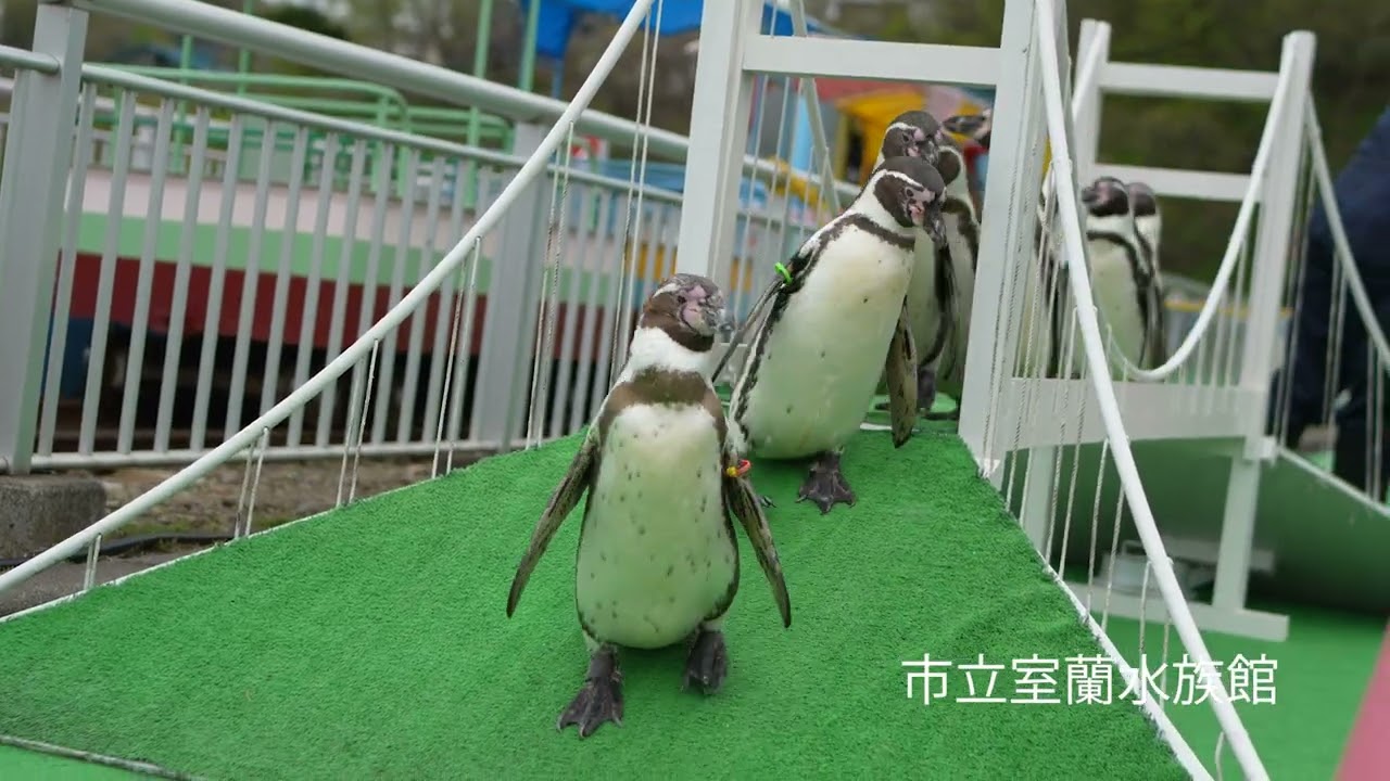 【室蘭港PR動画03】あっと！魅惑の室蘭