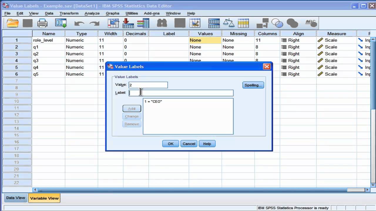 Метки значений — SPSS