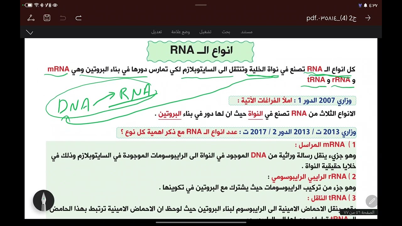 المحاضرة رقم 36  : تركيب ال RNA  وأنواعه