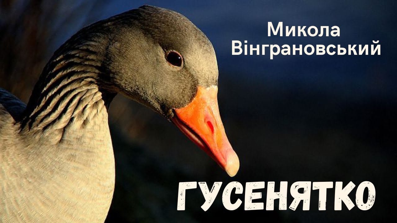 🎧 Микола Вінграновський 