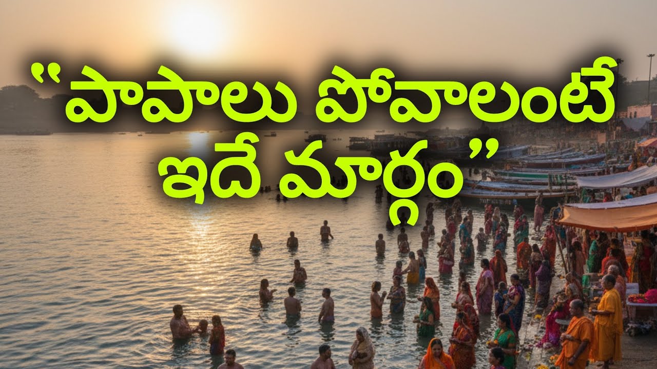సంసర్గ దోషమును పొందిన విప్రుడు ముక్తిని గాంచుట