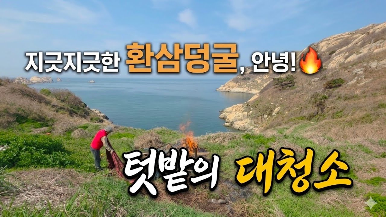 [황도 일기] 환삼덩굴과의 전쟁 끝. 텃밭의 새로운 시작
