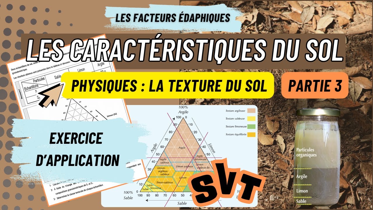 Texture du sol (partie 3 : exercice) – Facteurs édaphiques | SVT Tronc Commun Maroc