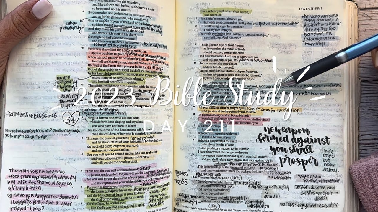 Study the Bible in One Year: Day 211 Isaiah 54-58 | Bible study for beginners