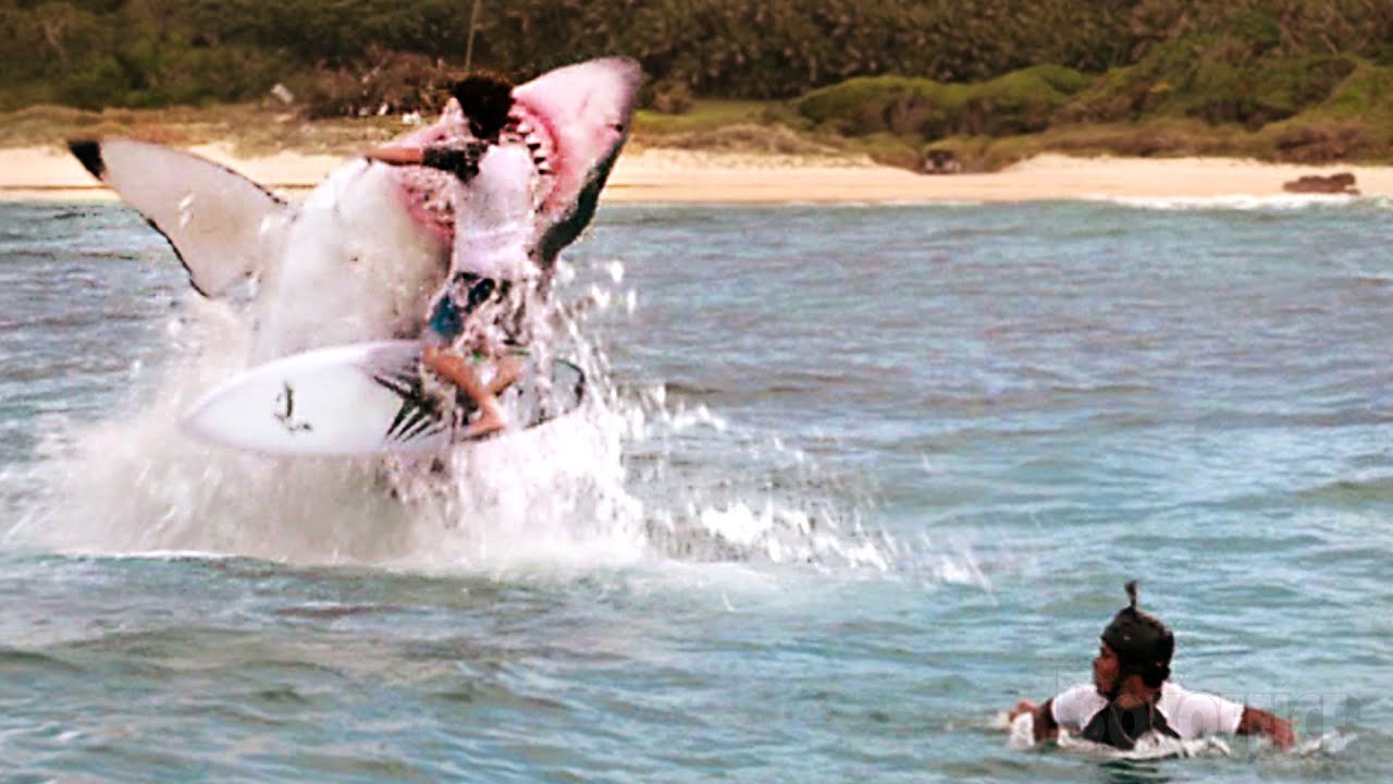 Un gran tiburón blanco ataca a surfistas imprudentes | Miedo profundo | Clip en Español 🔥 4K