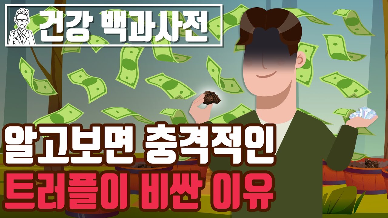 알고보면 충격적인 트러플이 비싼 이유!? 트러플(송로버섯)의 역사 @세상의모든지식