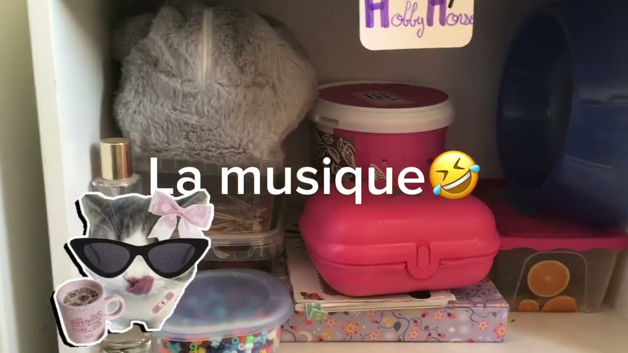Présentation de mes Hobbyhorse￼ + Équipement #horse #hobbyhorse #cheval ￼