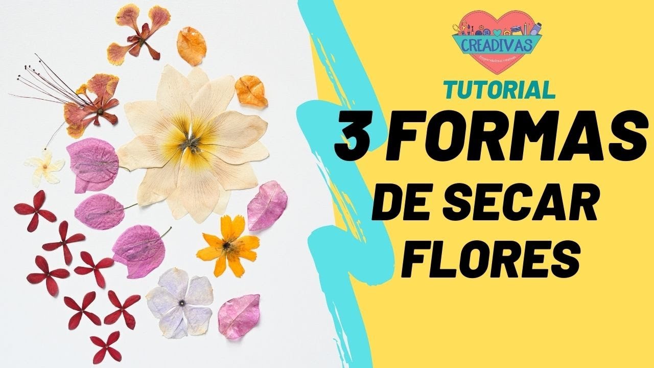 3 Formas de Secar Flores para arte con resina. Super fácil tutorial para hacer tus propias flores
