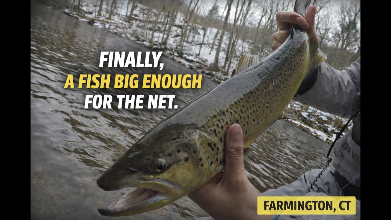 Euro Nymphing the Farmington River CT | Big Brown Trout