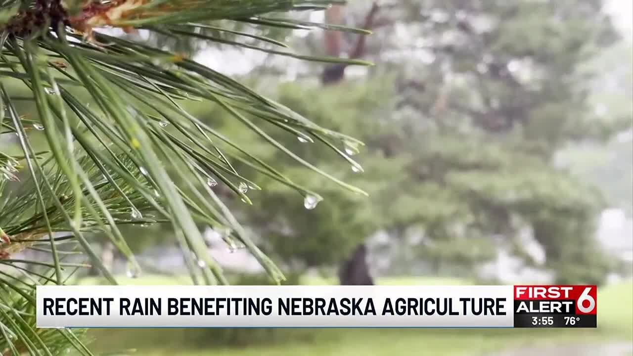 Recent rain benefiting Nebraska agriculture