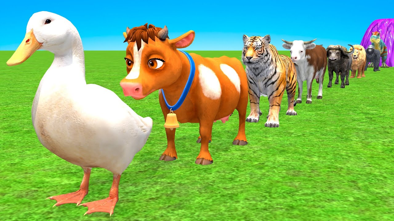 Mega Long Slide Game with Cow Elephant Gorilla Hippopotamus Tiger 3d Animal Game Funny 3d Animals
