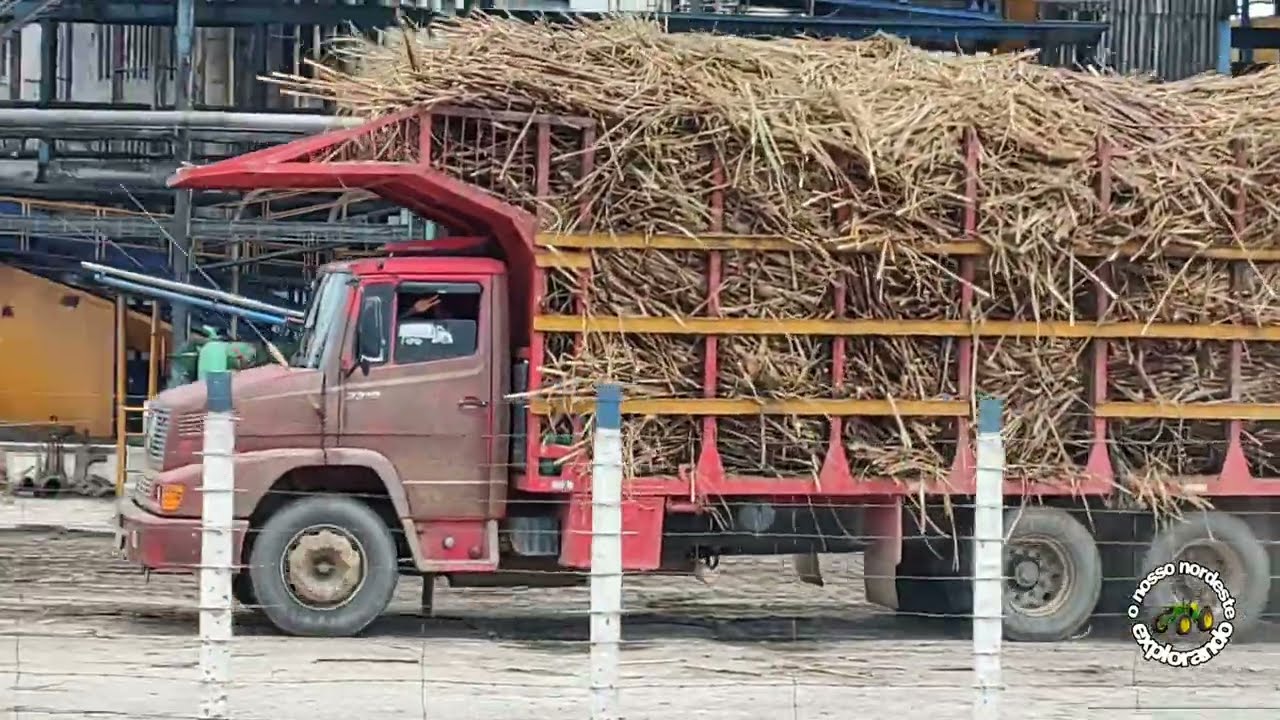 USINA CAMARAGIBE HOJE TÁ ASSIM!!