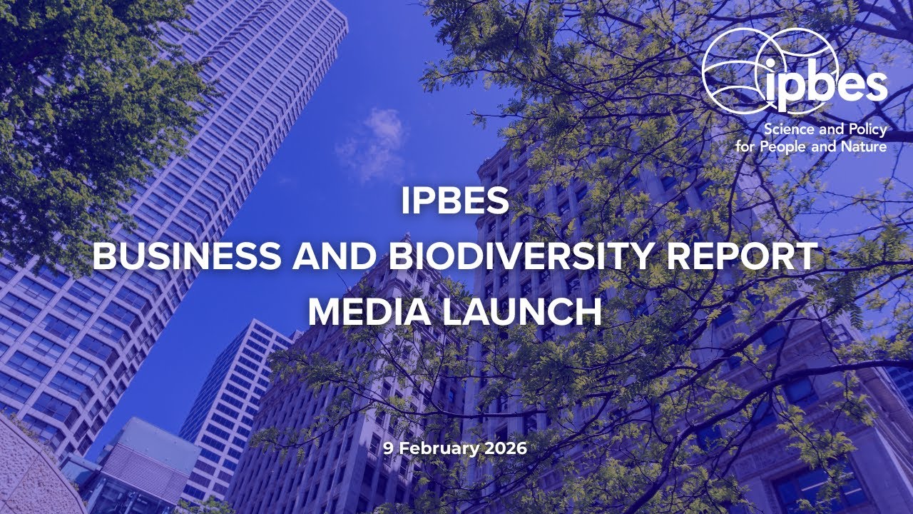 #IPBES12 Media Launch of the IPBES Business and Biodiversity Assessment Report