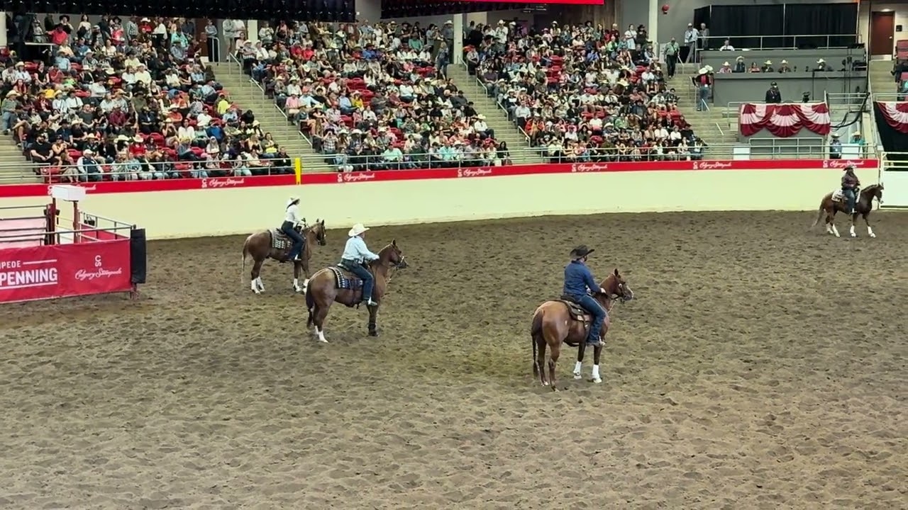 Calgary Stampede 2025 | Team Cattle Penning | 14 Class Run – Top 15 Finish!