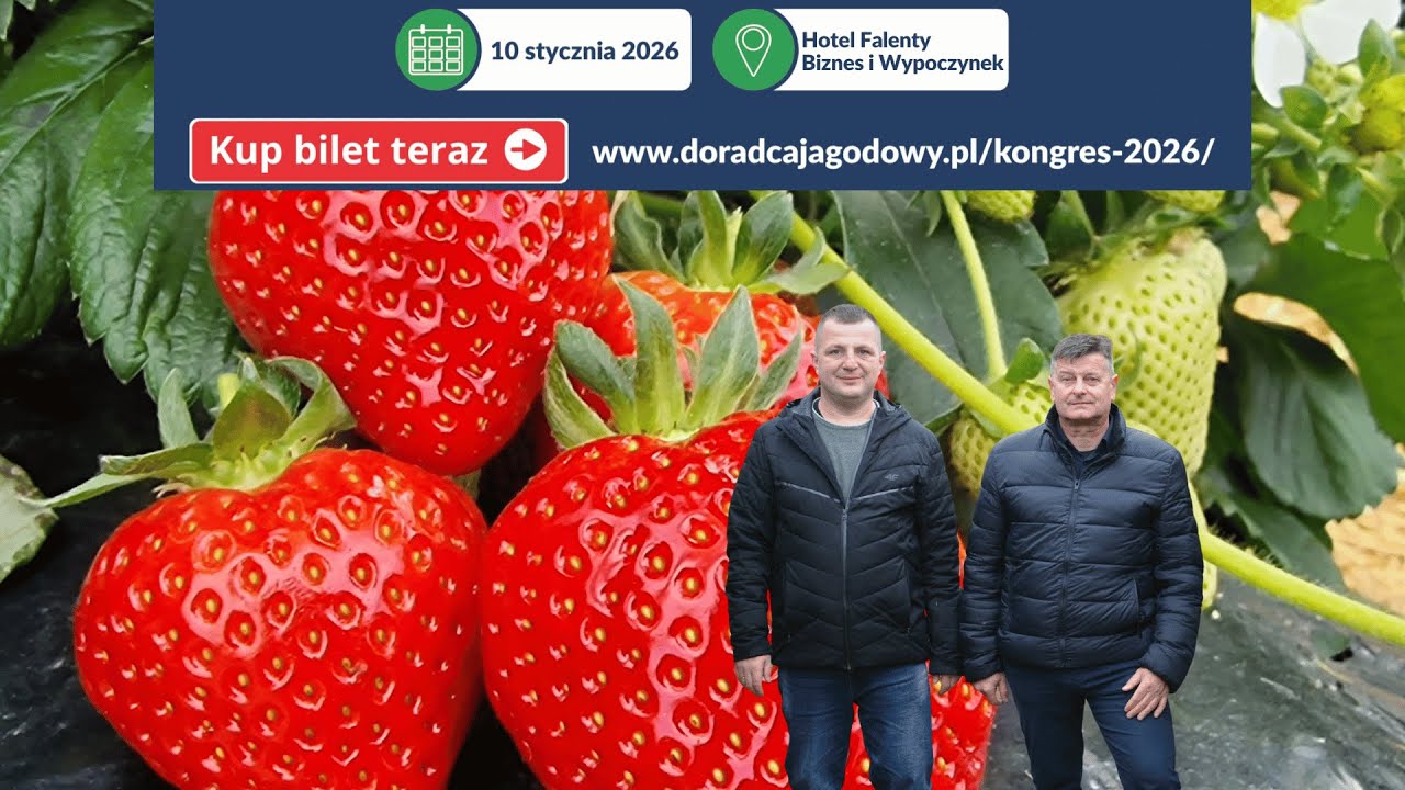 Kongres Jagodowy 2026 najlepsze spotkanie branży jagodowej, a po Kongresie przygotujemy coś EXTRA!