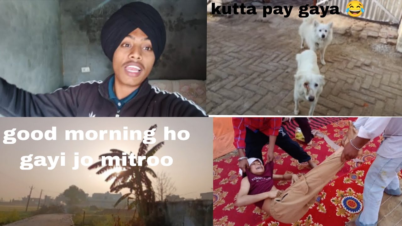 Kutte pay gaya 😂 mitroo yarr nal fun kita a full najara