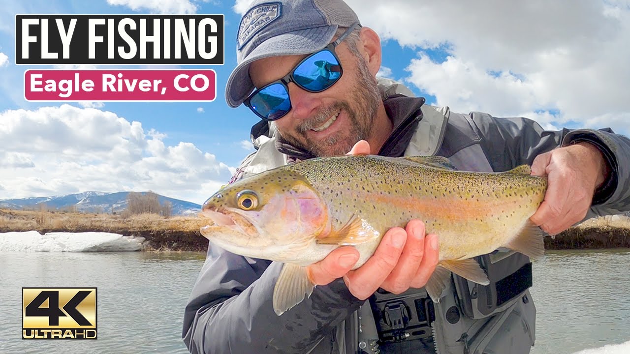 EAGLE RIVER COLORADO ловля рыбы нахлыстом ... ловля большой форели долины Вейла