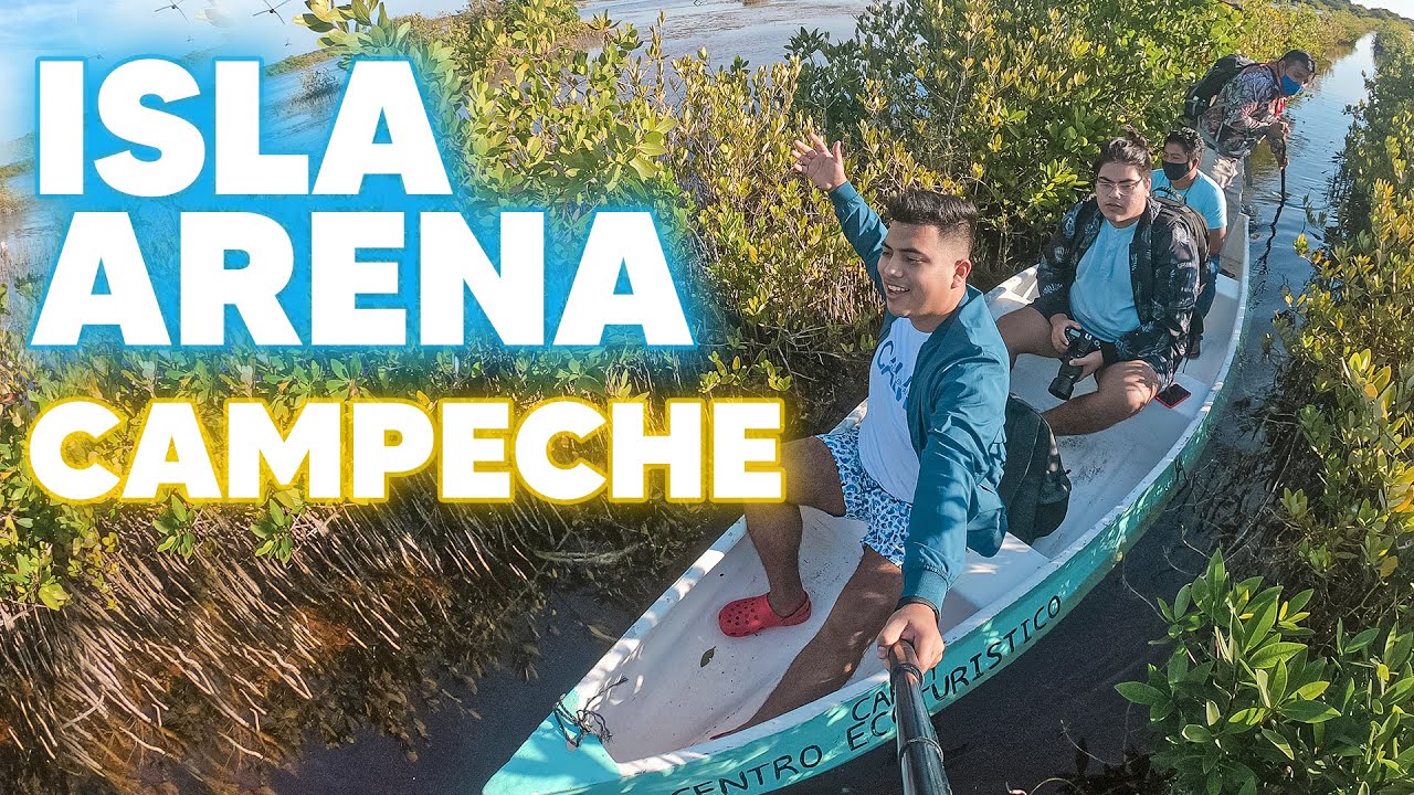 😱ISLA ARENA: EL PARAÍSO de CAMPECHE | ISLA PARADISIACA 🐊 en México 🏖  Hospedaje, Cocodrilos y Tours