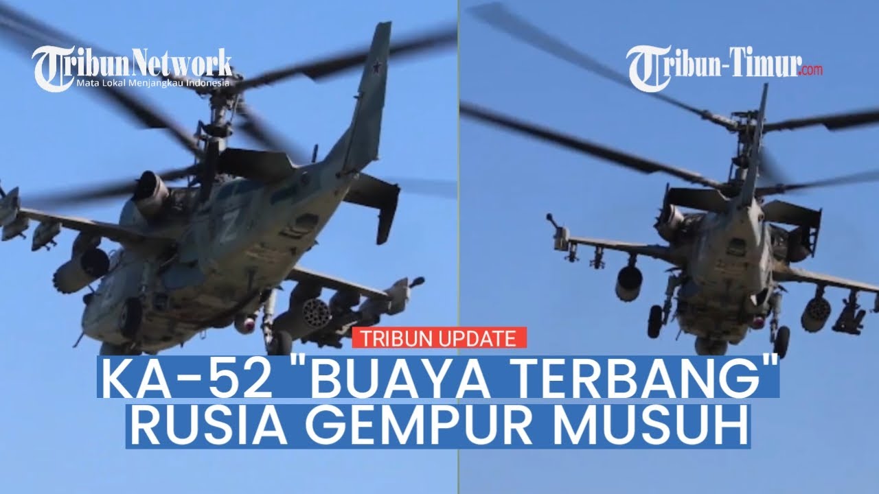 🔴 Rekaman Ka-52 Heli 'Allegator' Terbang Rusia Hancurkan Pertahanan Ukraina