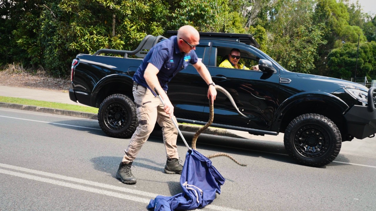 SPRAYED While Saving A Snake In Traffic