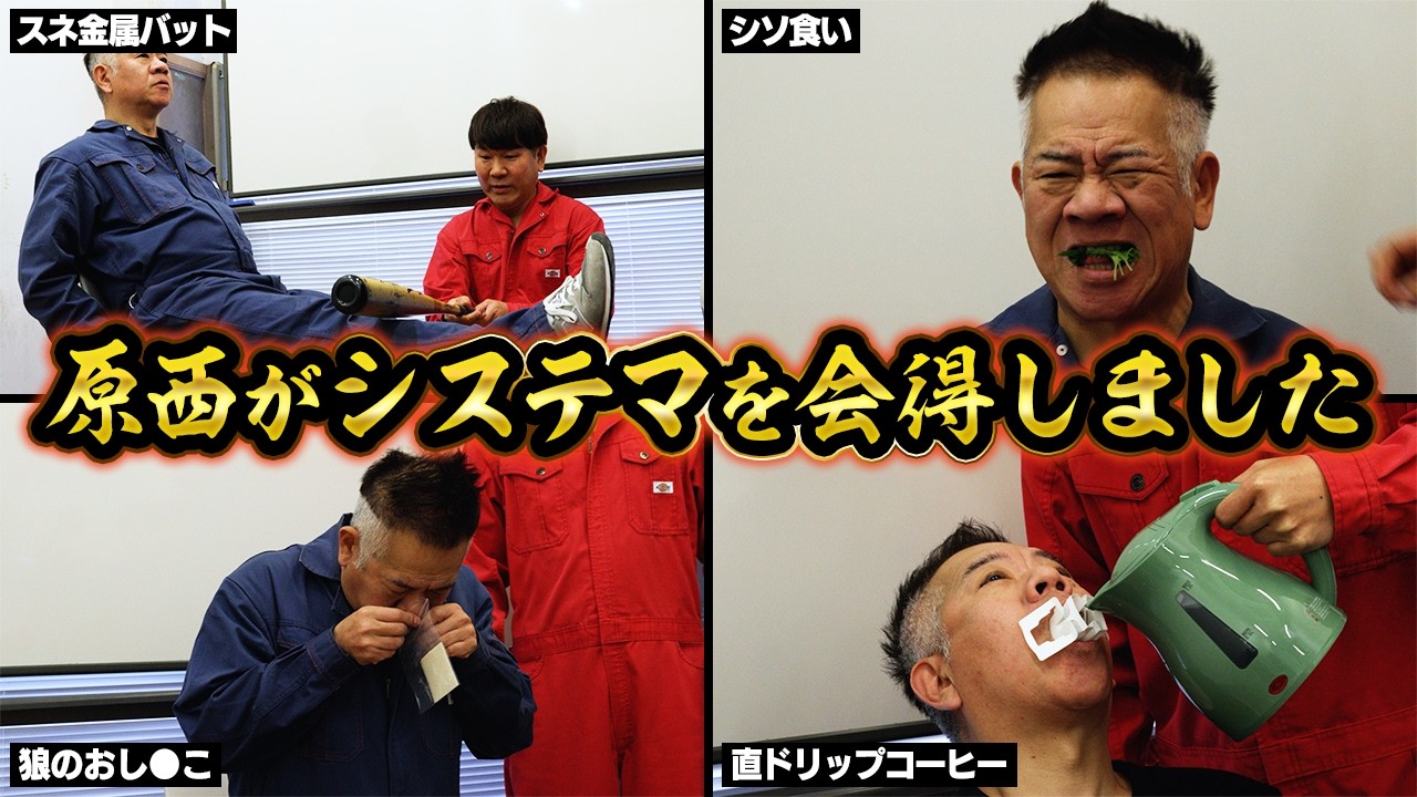 【みなみかわ超えなるか】システマを会得した原西で色々検証してみた！【ハラニシステマ】