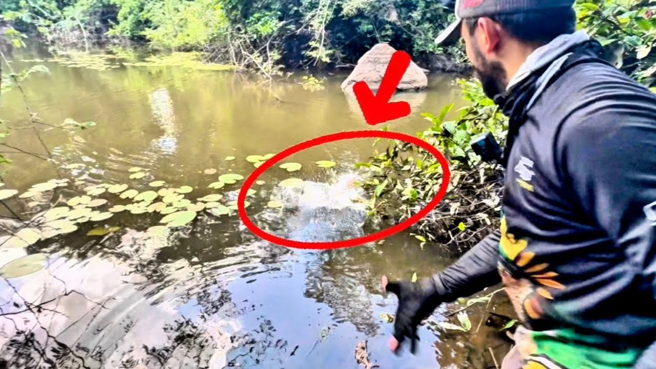 TÉCNICA INFALÍVEL DOS ÍNDIOS E RIBEIRINHOS😱SÓ TRAIRÃO BRUTO‼️