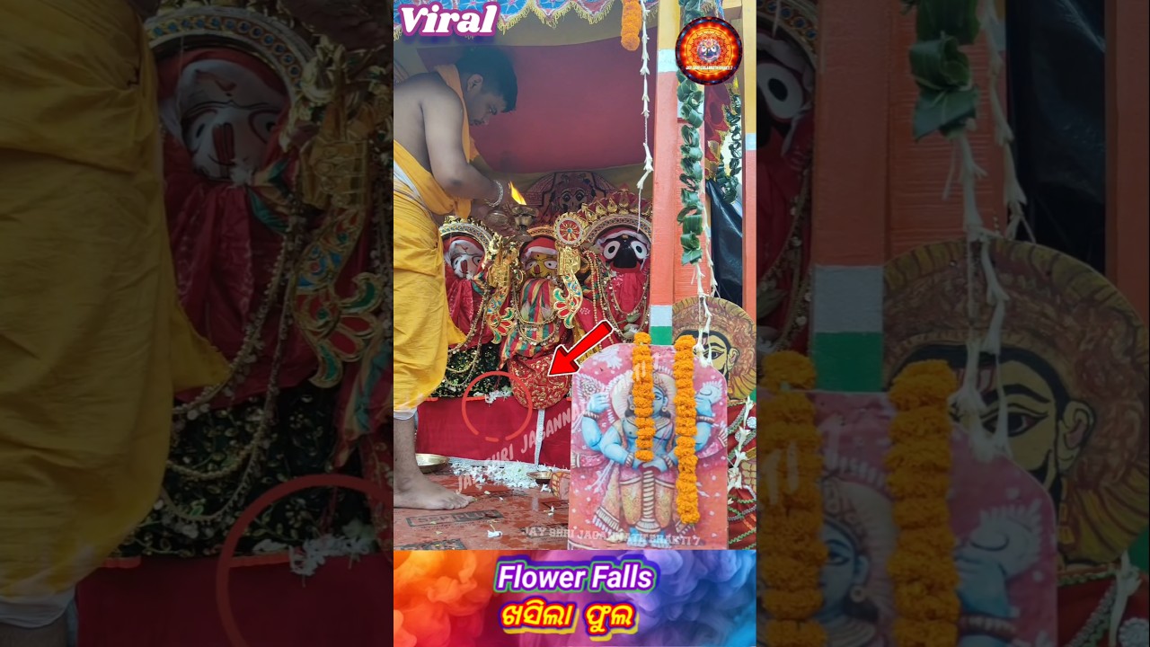 Flower Falls Shri Jagannath Suna Besha Arati Times #shorts #jagannath #krishna #viral #puri