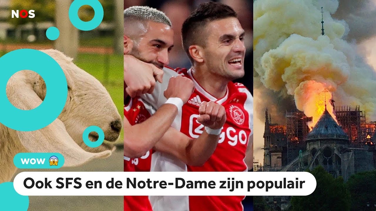 Ajax, huts en wollah: dit zochten jullie het meest online