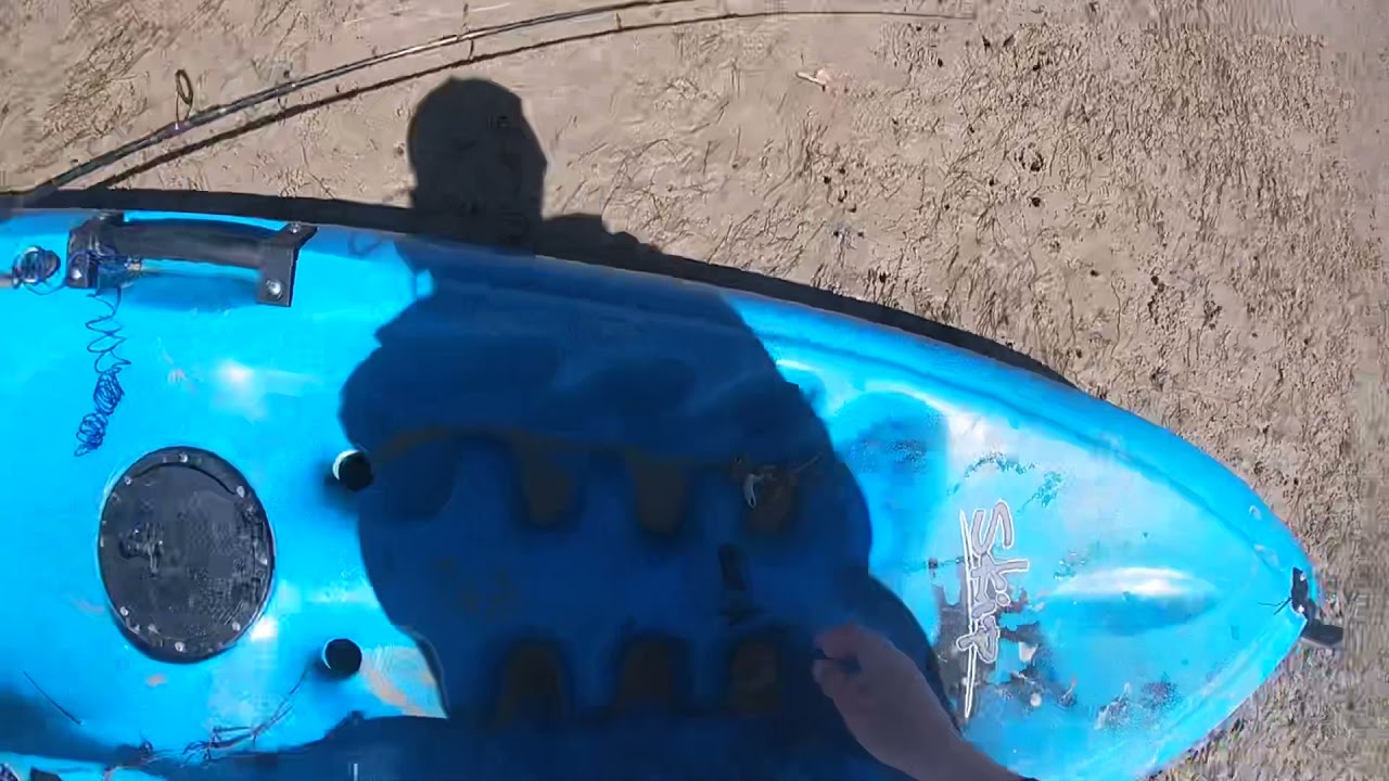 Sick Shark encounter at shallow inlet